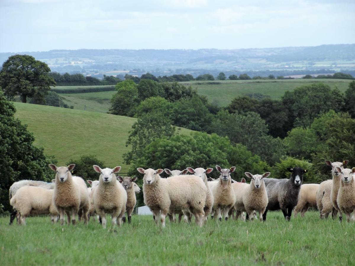 Deepaller Farm Tiverton  Exterior photo